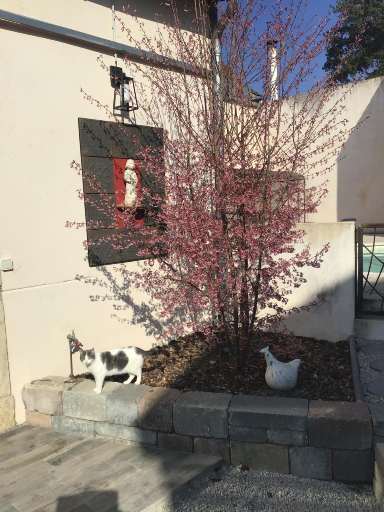 Ma Maison Beaune  Exterior foto